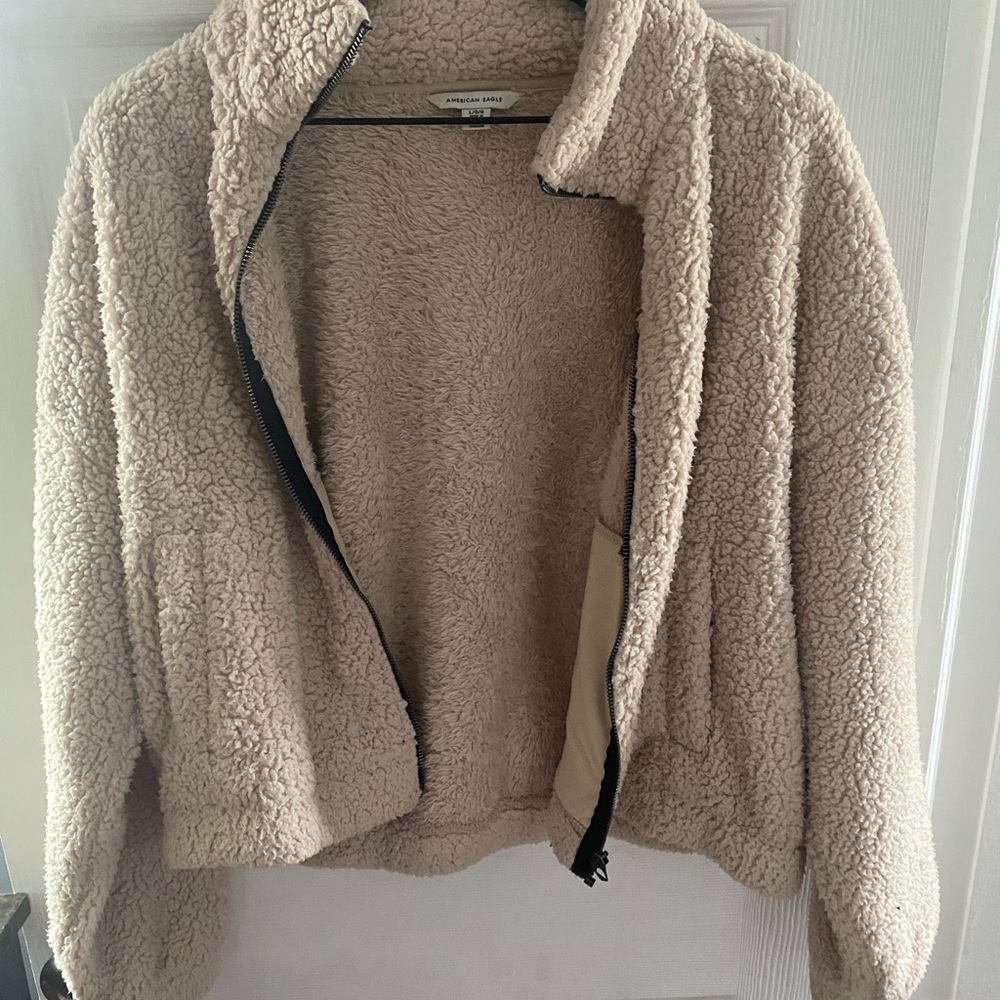 American eagle Sherpa